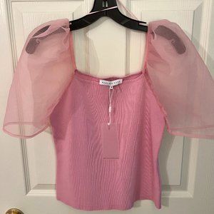 Endless Rose Organza Sleeve Top